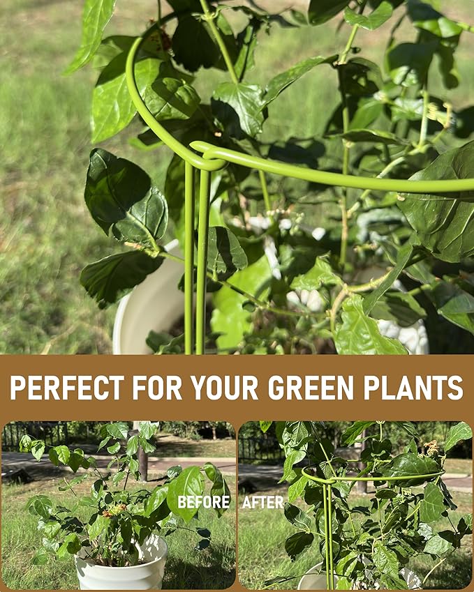 10-Pack Plant Support Stakes, Heavy Duty Steel Plant Stakes as Monstera Plant Support & Peony Cages, Metal Garden Stakes for Indoor Outdoor Plants, Snake Plant & Vine Support, 10" W x 15.8" H