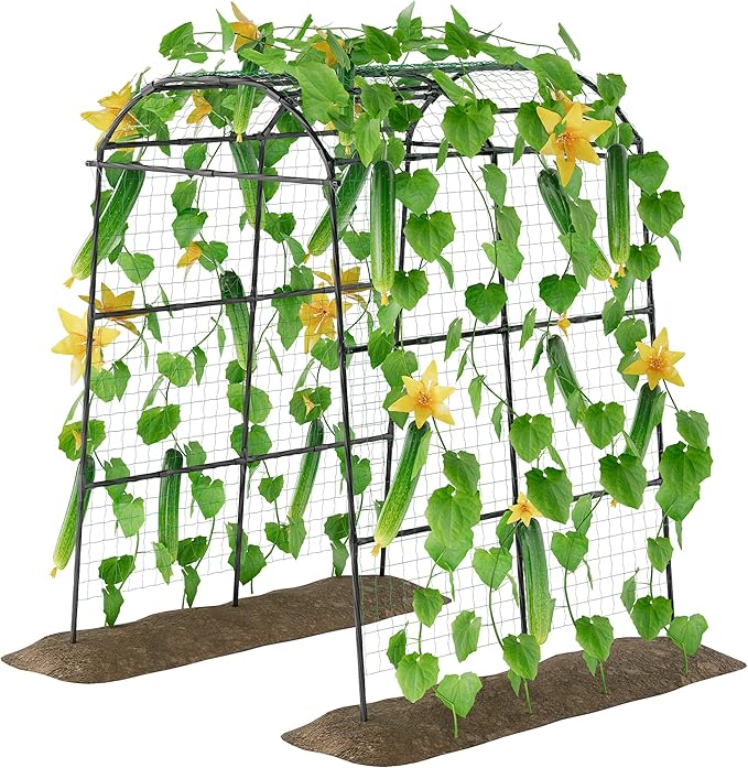 Miory Garden Arch Trellis for Climbing Plants Outdoor, Metal Plants Support Trellis for Climbing Vine Tomato Vegetable Flower Fruit, Cucumber Trellis for Raised Bed (71 x 83 Inch)