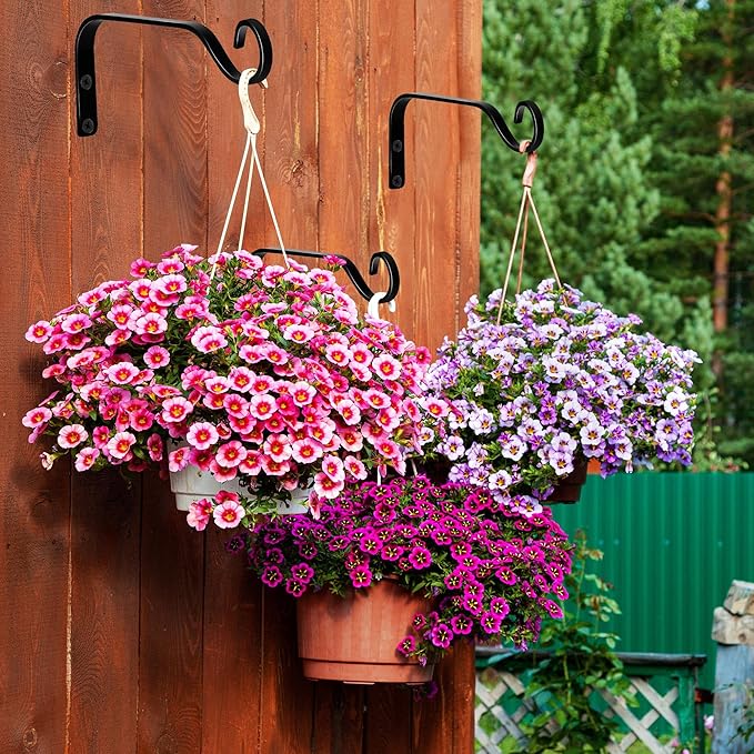 4pcs Wall Mounted Plant Hanger, Indoor/Outdoor Decorative Hook for Hanging Plants, Windchime, Baskets – Rustic Iron Plant Holder, Ideal Wall Décor, Ceiling Hooks for Indoor Garden- (7 in)