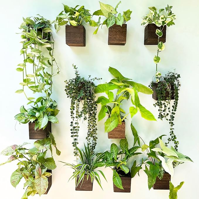 LaLaGreen Indoor Planter Box for Plants (4x4 Inch, 12 Pack) Small Square Wooden Wall Mounted Planters Wood Window Boxes Hanging Flower Pot Plant Holder Outdoor Herb Modern Vertical Garden Home Decor
