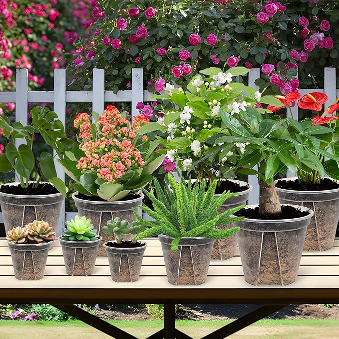5 Set 7 Inch Transparent Plastic Garden Pots with Saucer - Planter with Drainage Hole for Indoor and Outdoor Plants - Includes 10 Plant Labels