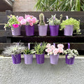 LaLaGreen Hanging Planter Outdoor - 10 Pack, 4 Inch Fence Planters Outdoor Purple Hanging Window Flower Bucket Metal Succulent Pots Balcony Railing Wall Garden Deck Porch Herb Plant Macetas Exterior