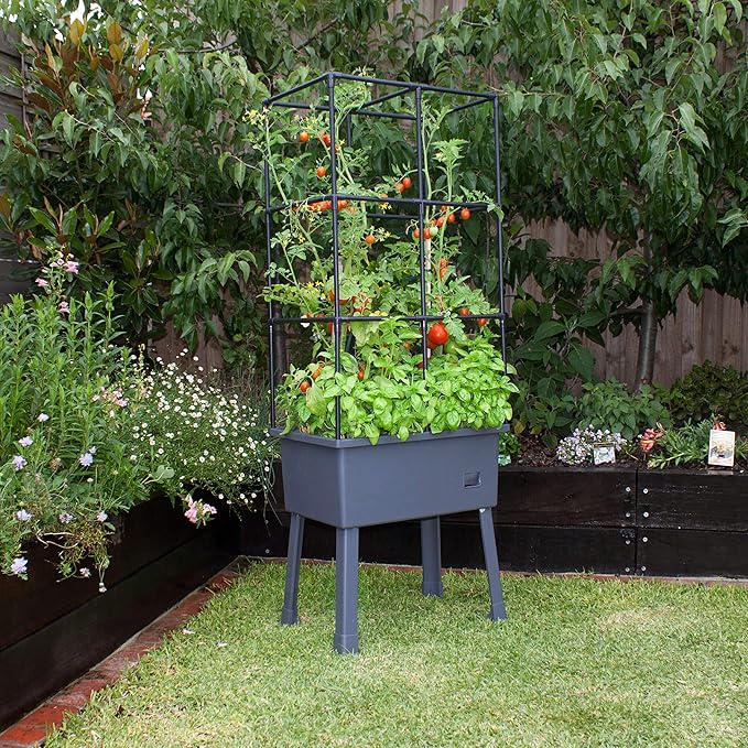 Frame It All Hydroponic Tower with Trellis Frame and Greenhouse Cover, Vertical Garden Planter for Vegetables and Flowers, Self-Watering Garden Tower with 4.35-Gallon Water Storage, 15.75 x 23.5 x 57