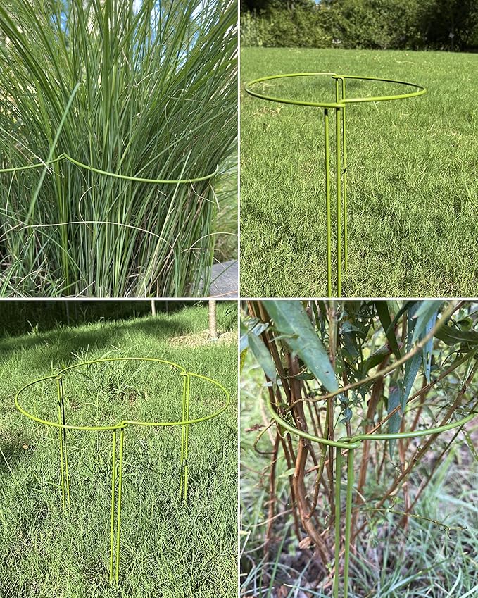 10-Pack Plant Support Stakes, Heavy Duty Steel Plant Stakes as Monstera Plant Support & Peony Cages, Metal Garden Stakes for Indoor Outdoor Plants, Snake Plant & Vine Support, 10" W x 15.8" H