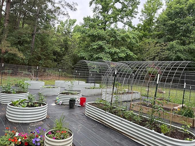 A ANLEOLIFE Set of 6, 18 Inch Tall Antique White Raised Garden Beds Kit, Heart-Shaped & Long Oval Planters for Custom Decorative Gardens.