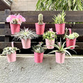 LaLaGreen Railing Planters Outdoor -10 Pack, 4 Inch Metal Hanging Flower Bucket, Small Pink Plant Pot Succulent Indoor Patio Fence Planter Box Balcony Garden Wall Decor Rail Deck Macetas Decorativas
