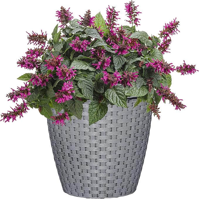 Classic Home and Garden Nantucket Planter, 8" Harbor Gray