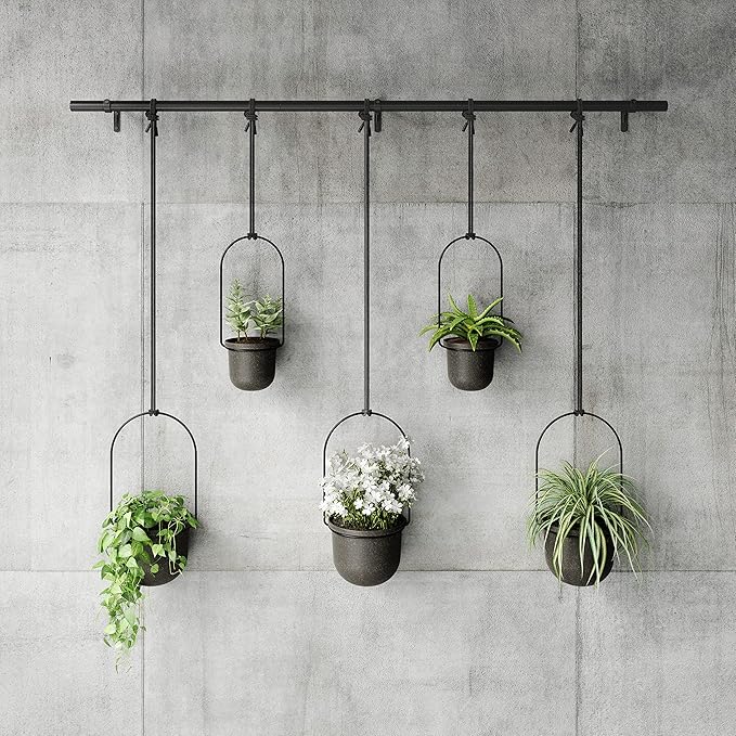 Umbra Triflora Hanging Planter for Window, Indoor Herb Garden, Set of 5, Black