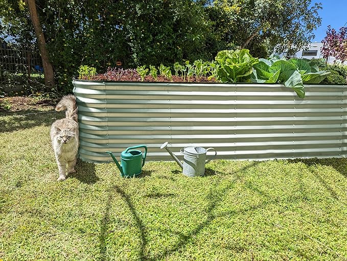 Plant & Plot Galvanized Raised Garden Beds Outdoor // 8×2×2 ft Planter Raised Beds for Gardening, Vegetables, Flowers // Large Metal Garden Box (Silver) // Patented Tool-Free Design